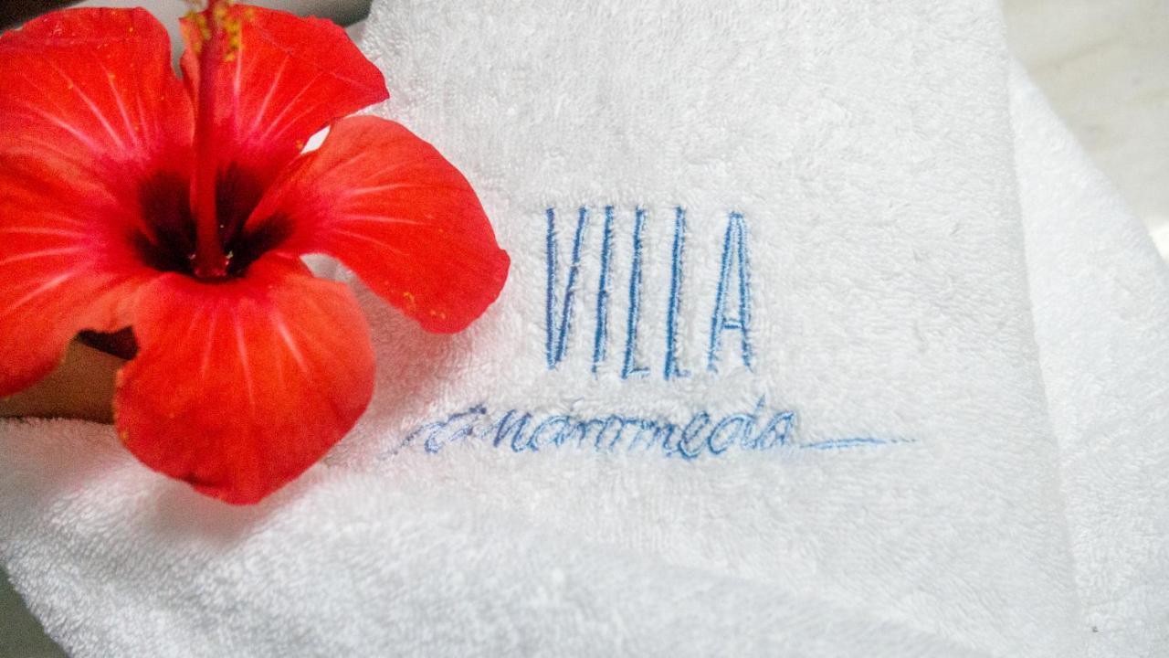 Villa Andromeda 하니아 외부 사진